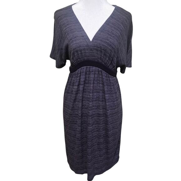 Rhapsody Dress Grayish Purple Stripe Stretch Knit Size Medium Comfy Empire Waist - Picture 1 of 6